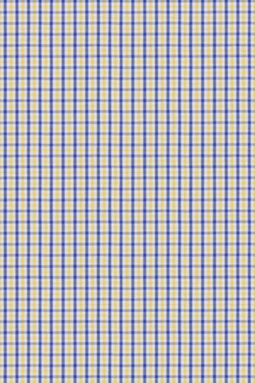 Mini Blue & Yellow Check Shirt