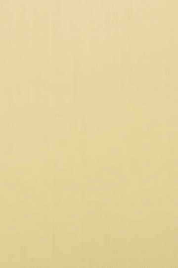 Dark Cream Suit