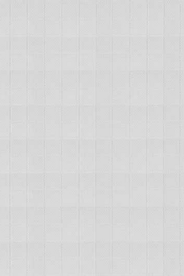 White On White Check Shirt