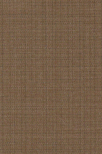 Tan Suit