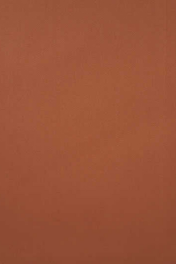 Plain Rust shirt