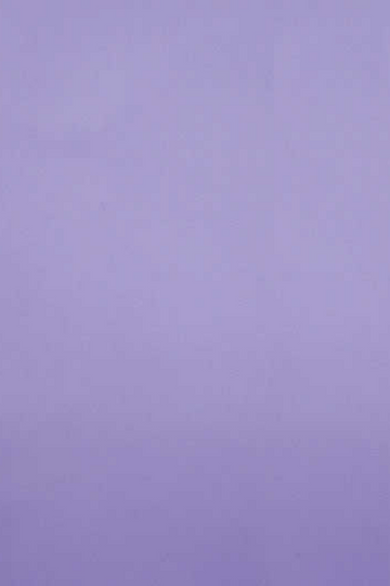 Light Purple Poplin Shirt
