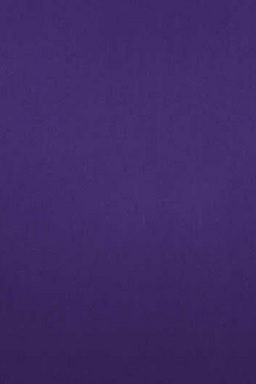 Dark Purple Poplin Shirt