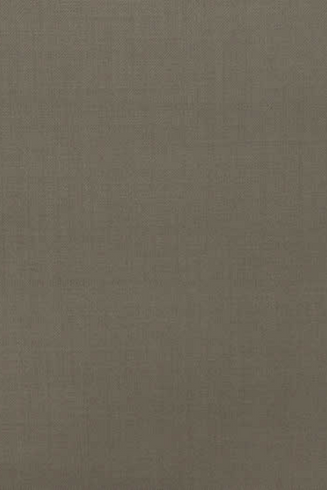 Dark Tan Suit