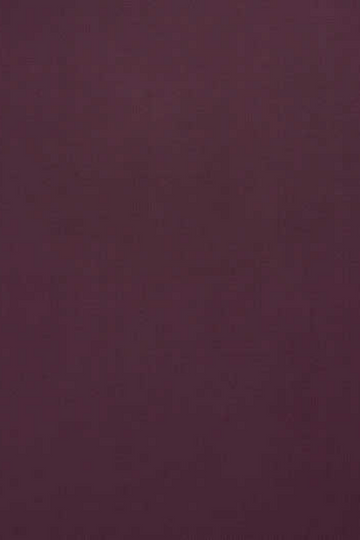 Magenta Suit