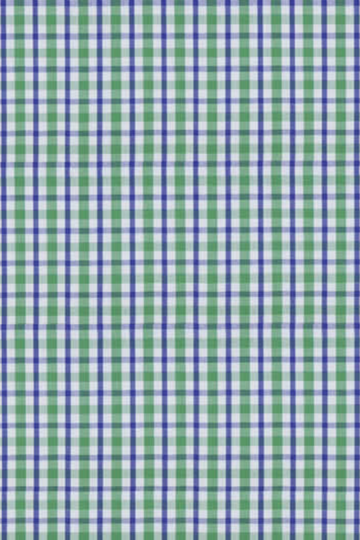 Multi Green & Blue Check Shirt