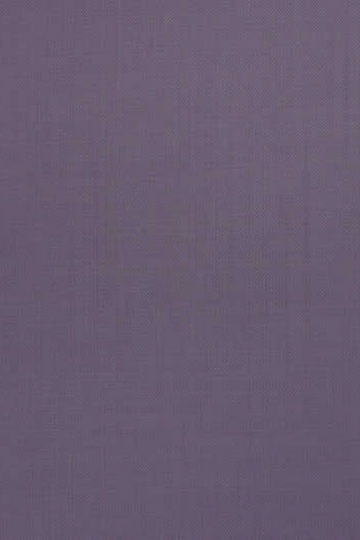 Lilac Suit