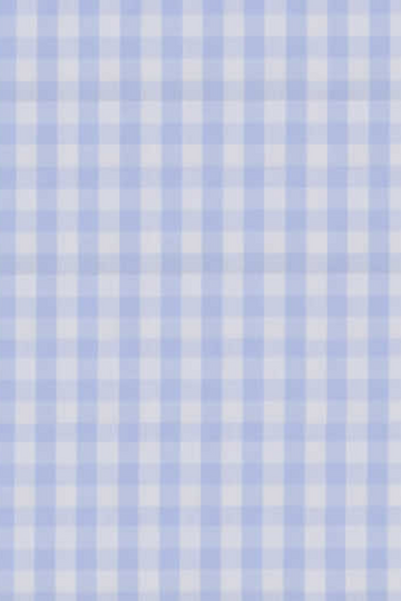 Sky Blue Check Shirt