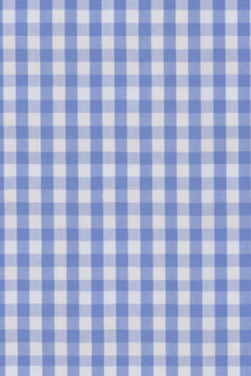 Light Blue Check Shirt