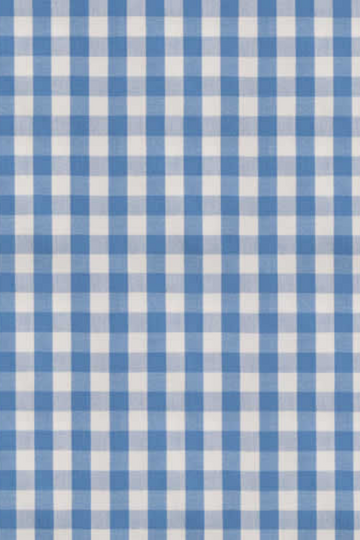 Sea Blue Check Shirt