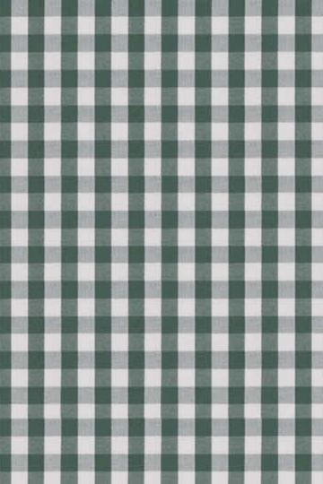 Green Check Shirt