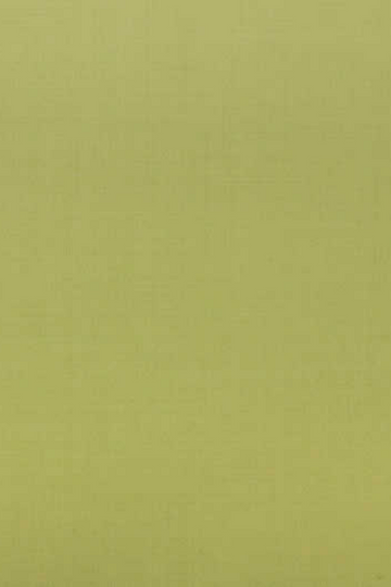 Buttercup Yellow Suit