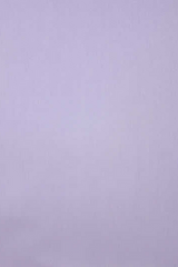 Plain Lavender Shirt
