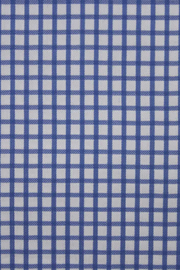 Blue Shephered's Check Shirt