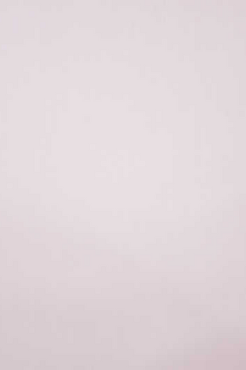 Light Pink Poplin Shirt