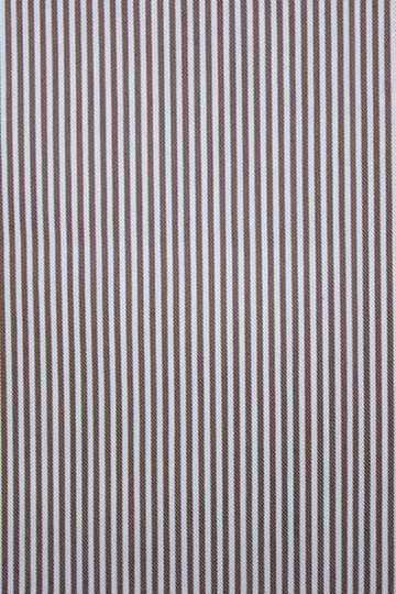 Brown Bengal Stripe Shirt