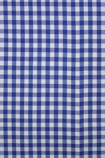 Blue Gingham Check Shirt