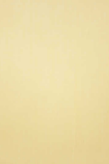 Ecru Poplin Shirt