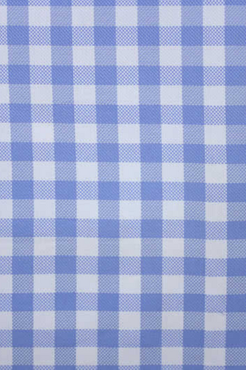 Light Blue Large Gingham Check Shirt