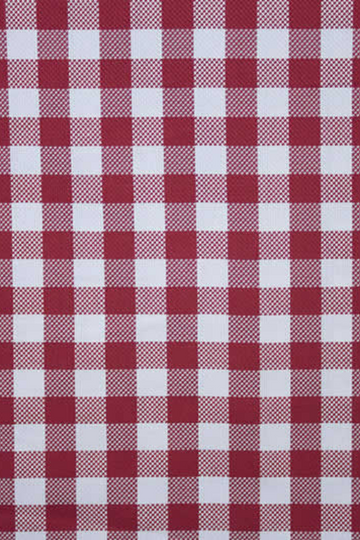 Red Gingham Check Shirt