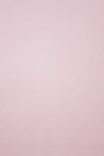 Soft Pink Poplin Shirt
