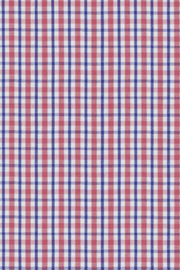 Multi Red & Blue Check Shirt