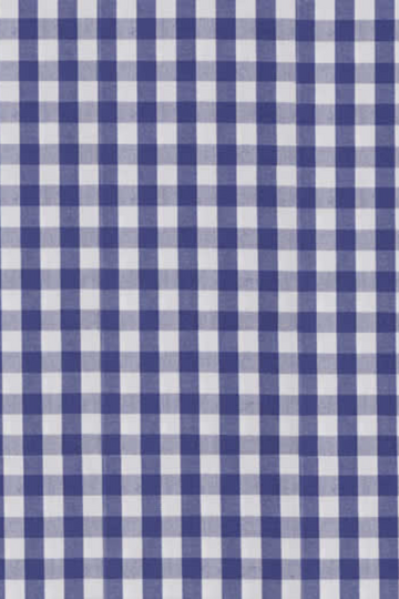 Dark Blue Check Shirt