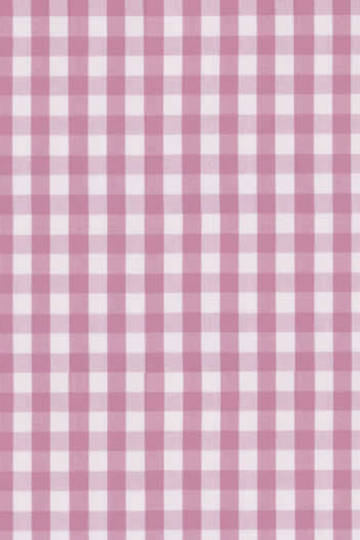 Pink Check Shirt